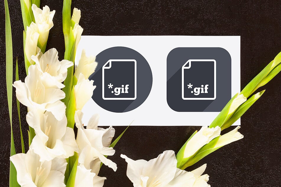 The creator of the .gif file format lived to be 74.