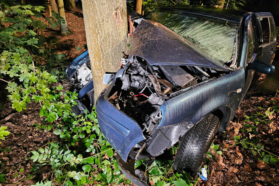 Tragischer Unfall: Mann kracht gegen Baum und stirbt