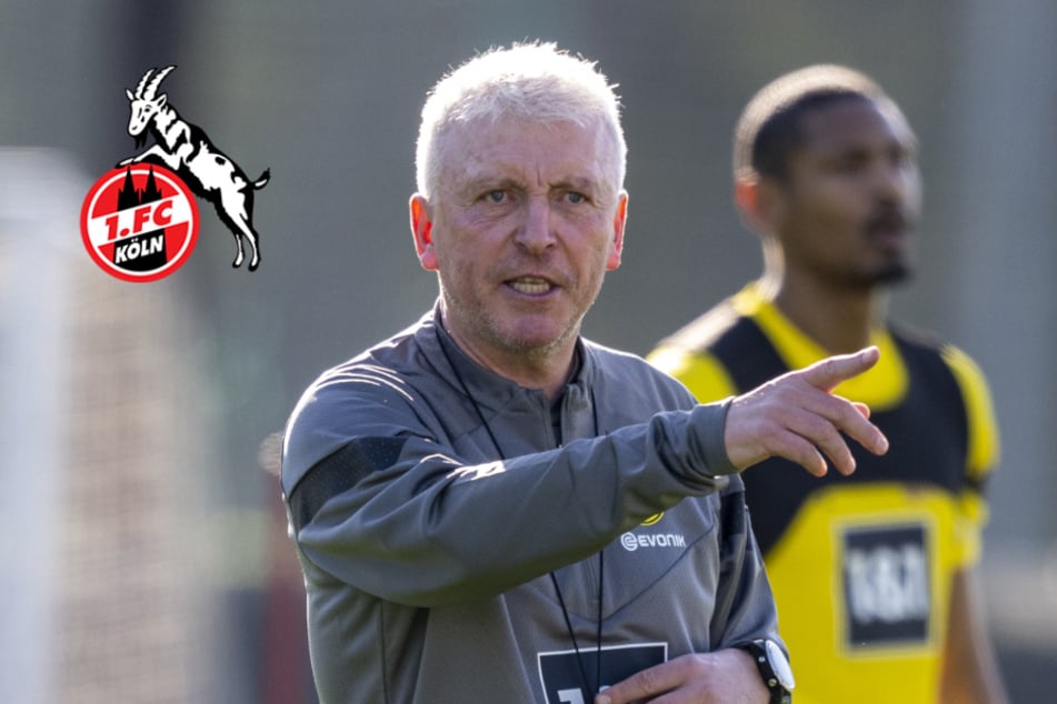 Neuer Co-Trainer nach Kwasniok-Knall gefunden: 1. FC Köln setzt auf Erfahrung pur