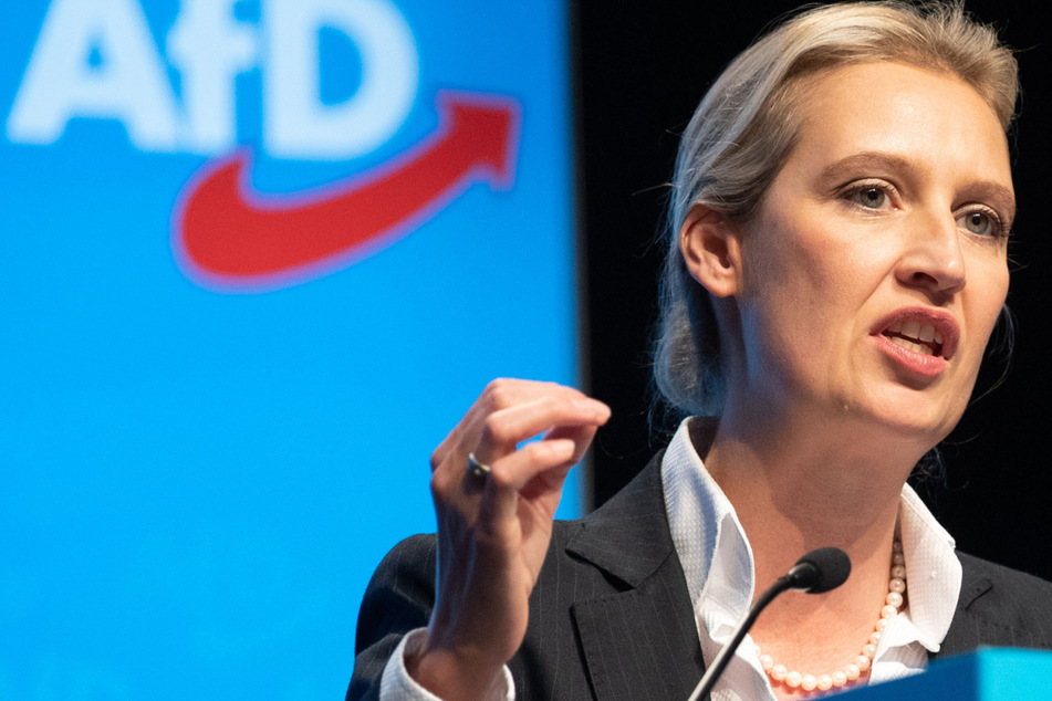 Alice Weidel, die AfD-Chefin (41) in Baden-Württemberg.