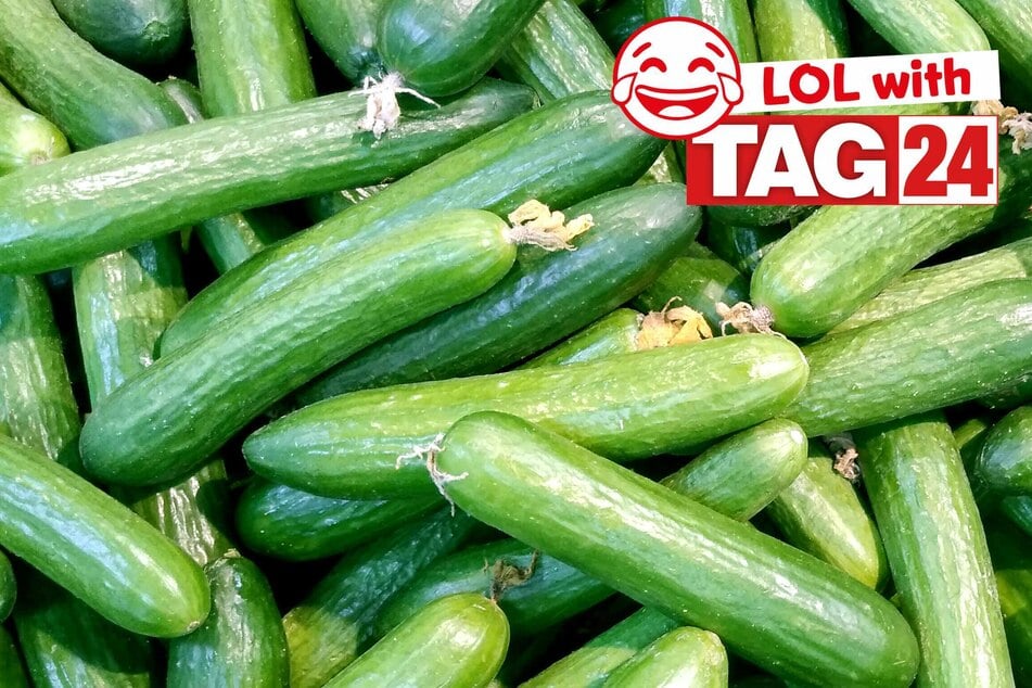 Joke of the Day for February 12, 2026: To get your funny on.