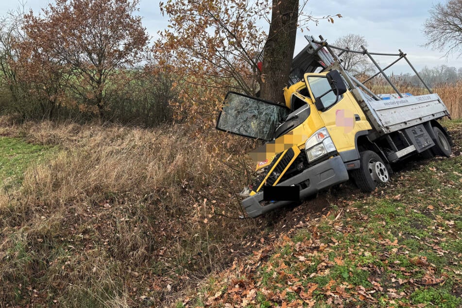 Laster kracht frontal gegen Baum: Fahrer wie durch ein Wunder unverletzt