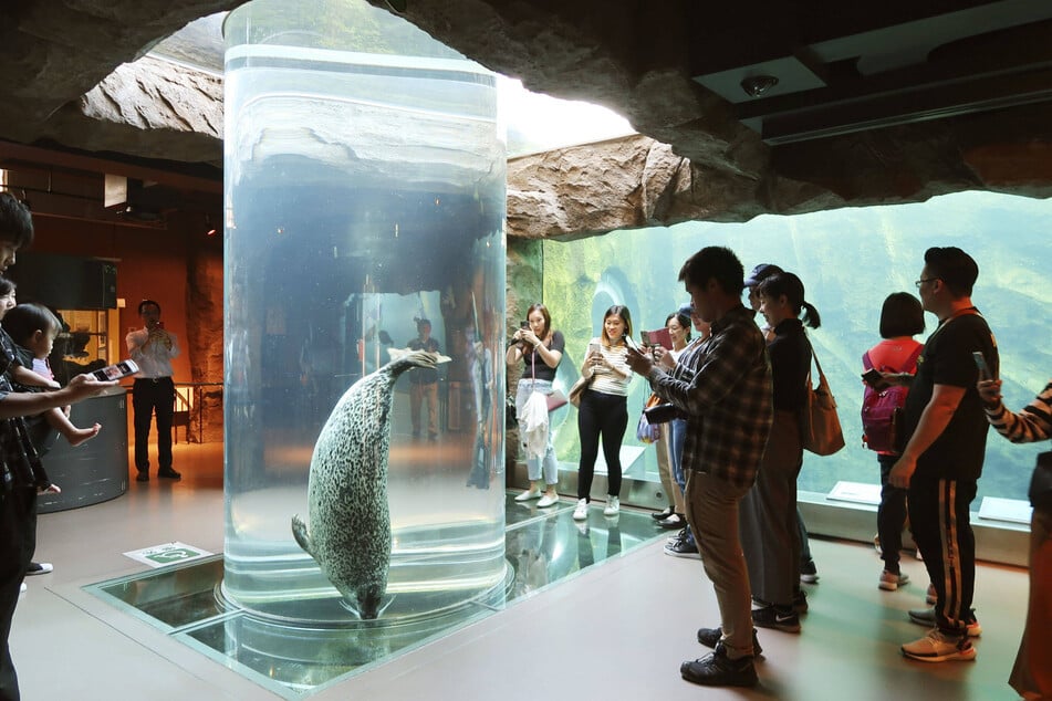 1967 wurde der Asahiyama Zoo eröffnet und gilt seither als einer der beliebtesten Zoos Japans.