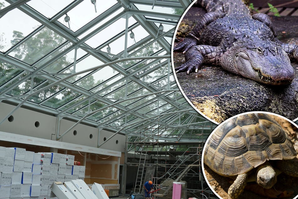 Neue Attraktion: Zoo Leipzig eröffnet Ende September weitere Anlage und zeigt neue Tiere