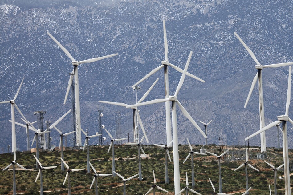 The US Department of Agriculture will not support future solar and wind projects on farmland.