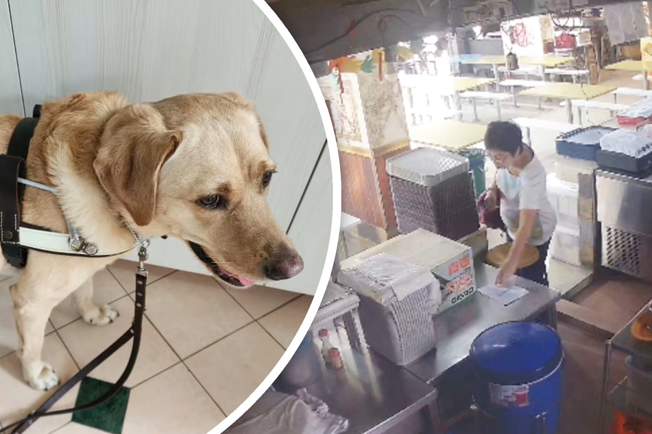 Frau weigert sich Blindenhund in Lokal zu akzeptieren, dann greift der Restaurantbesitzer durch