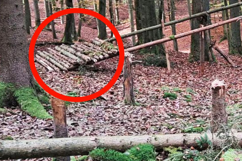 Was das wohl werden sollte? Eine merkwürdige Holz-Konstruktion in einem Wald bei Marburg hat die Polizei auf den Plan gerufen.