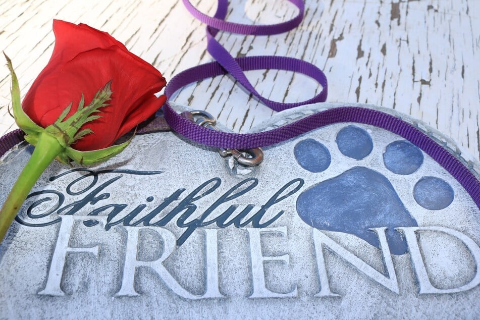 Mit einer Grabstätte für den Hund kann der Abschied leichter fallen und die Trauer an einen Ort gebunden werden.