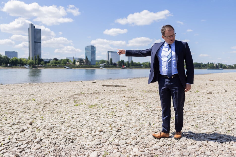Niedrigwasser wie hier am Rhein bei Bonn hat negative Folgen für die Flora und Fauna: Bundesumweltminister Carsten Schneider (49, SPD) will ein Klimaanpassungsprogramm erarbeiten.