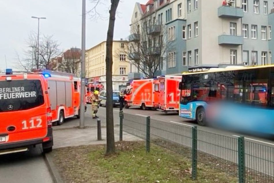 Berlin: Linienbus legt Vollbremsung hin: Sechs Verletzte!