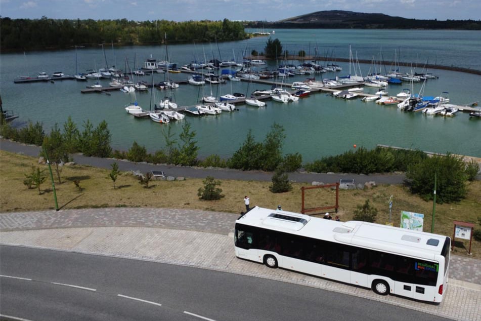 Leipzig: Leipziger Neuseenland: Extra-Busse bringen Euch direkt ans Ufer und nach Belantis