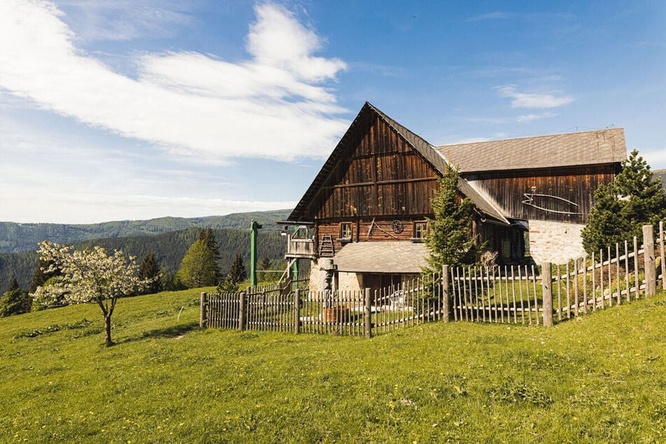 In diese Almhütte werden die neun Paare ziehen.