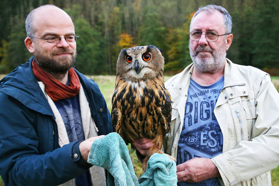 Naturschutz-Experte Ronny Goldberg (42, l.) und Ulrich Augst (63), Vogelbeauftragter im Nationalpark, zeigen das Jungtier.