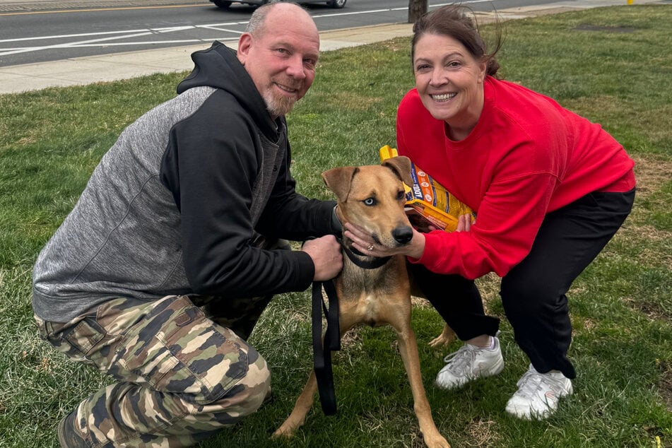 Das ging schnell: Innerhalb weniger Wochen nahm der Hund so gut zu, dass er noch vor Weihnachten an seine erste Familie vermittelt werden konnte.