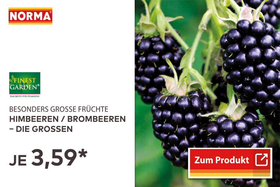 Himbeeren und Brombeeren für 3,59 Euro