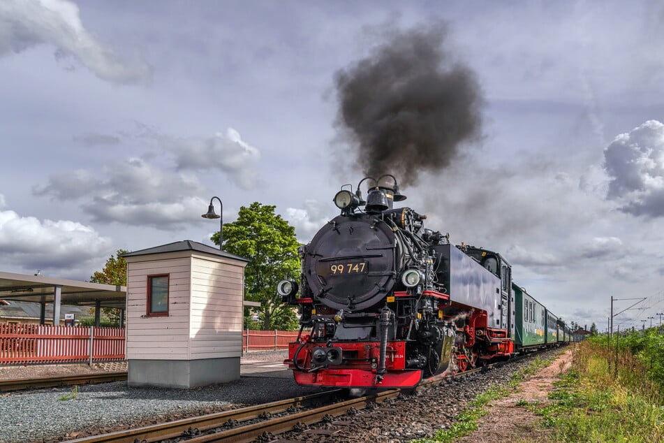 Historische Züge aus verschiedenen Epochen sind beim Schmalspurbahn-Festival zwischen Radebeul, Moritzburg und Radeburg unterwegs.