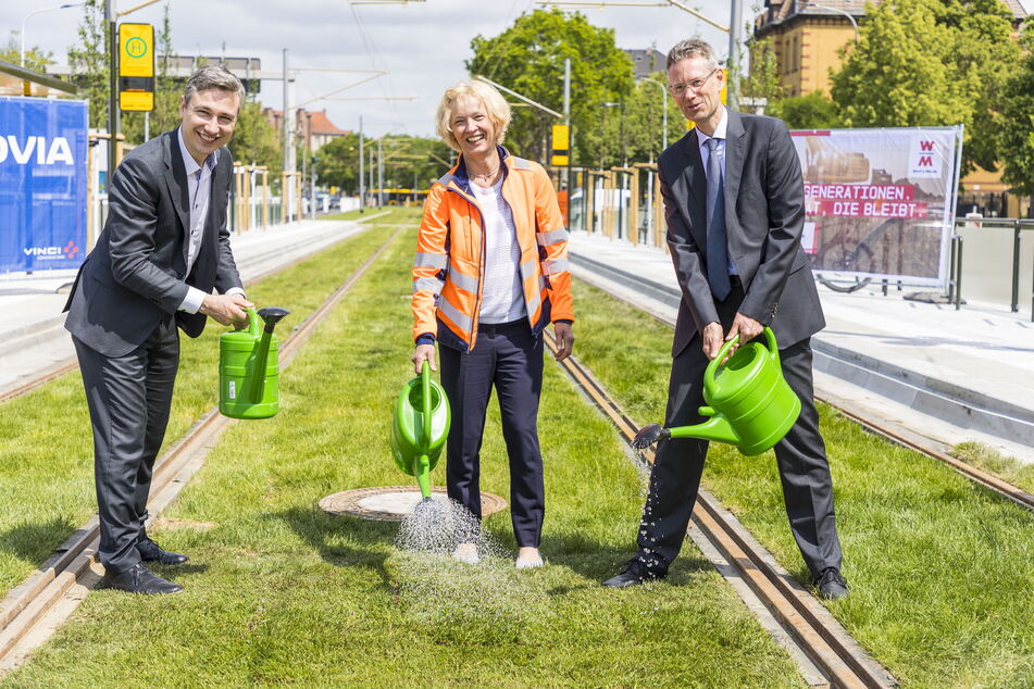 Grün ist die neue Bahnhaltestelle: Baubürgermeister Stephan Kühn (l., 43, Grüne), Tiefbau-Amtsleiterin Simone Prüfer (58) und DVB-Vorstand Andreas Hemmersbach (54) beim Angießen des Gleisrasens.