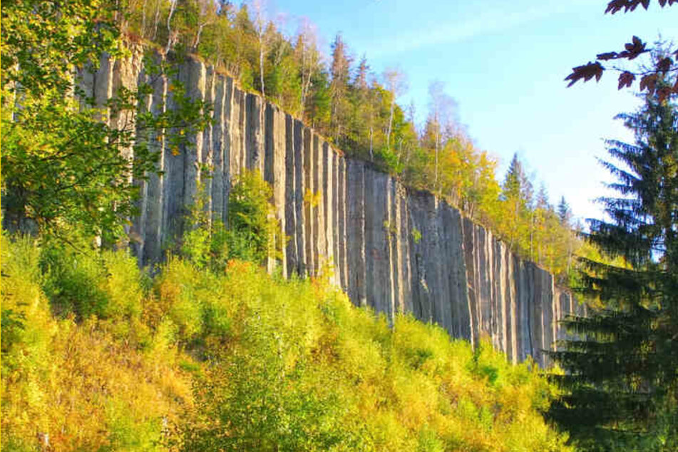 Der Scheibenberg ist vor allem für seine bis zu 30 Meter hohen Basaltsäulen bekannt.