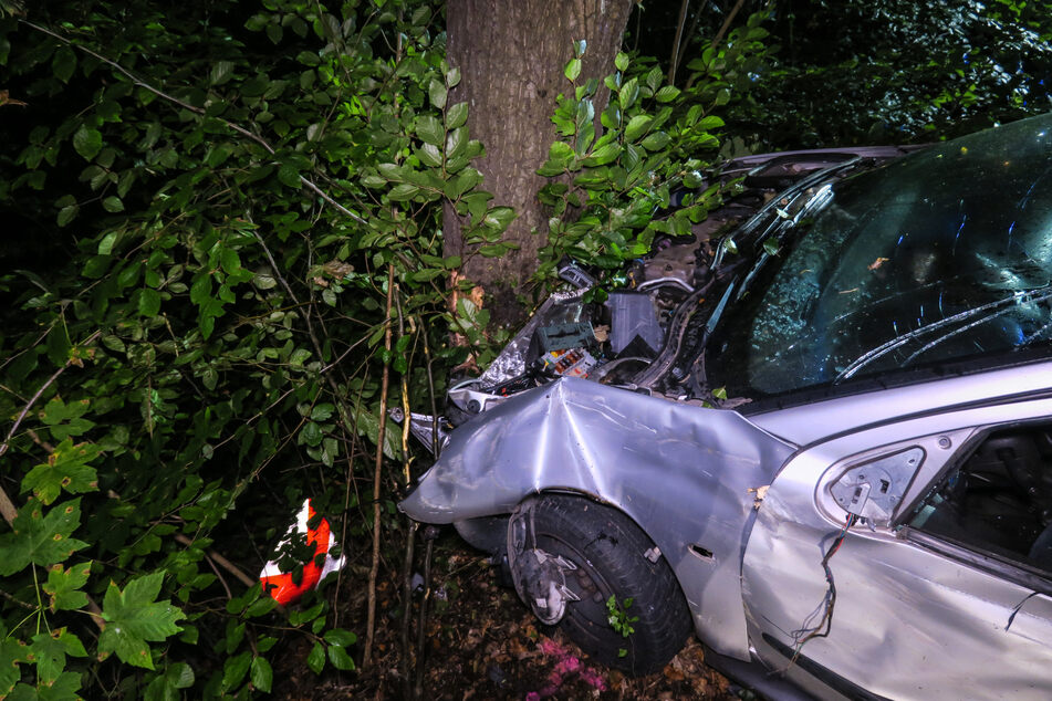 Nachdem das Auto bereits an zwei Bäumen und einem Eisentor entlang schrammte, kam es durch einen Aufprall an einem Baum zum Stehen.