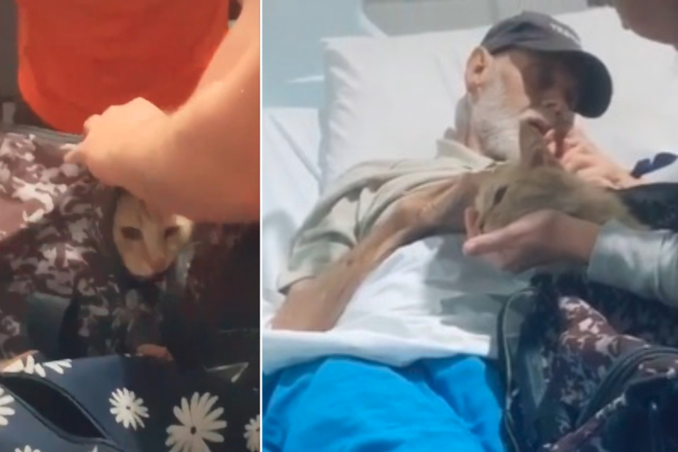 Der krebskranke Paul Lewis und sein Kater Coco waren ein Herz und eine Seele.