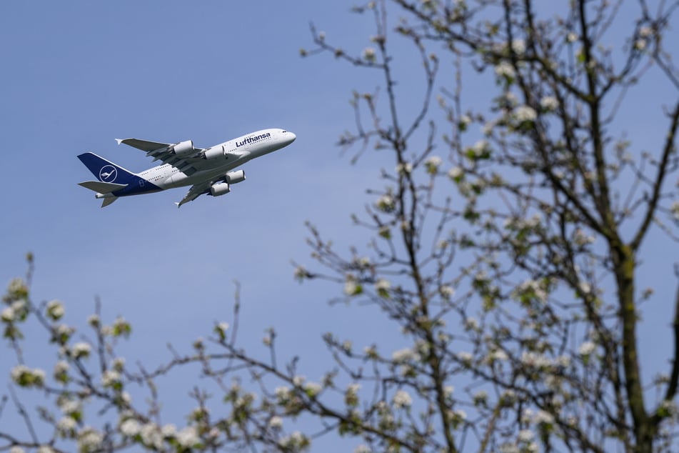 Ein Flugzeug der Lufthansa vom Hersteller Airbus: Etwas Besseres könnte es für Tom Kaulitz (34) für einen Flug von Deutschland in die USA nicht geben. (Symbolbild)