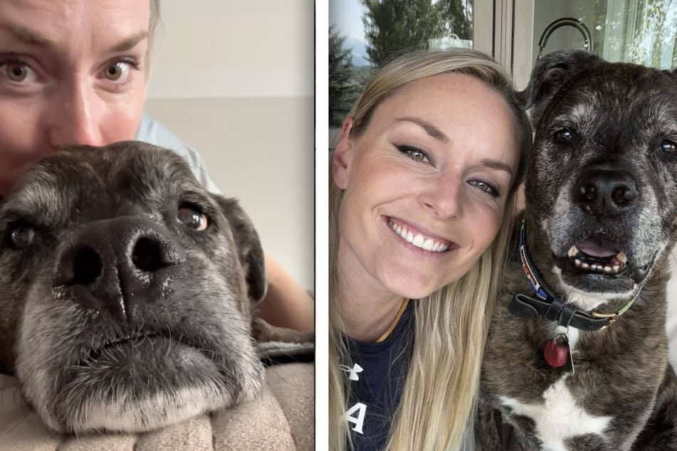 Ski-Star Lindsey Vonn (40) bangt um ihren Hund Leo, der an Krebs erkrankt ist.