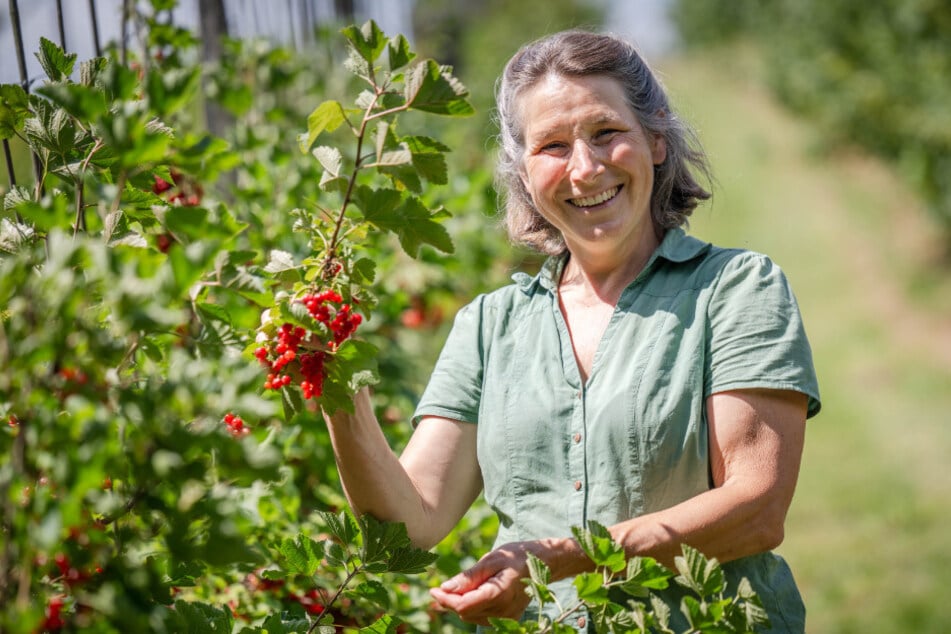 Katja von Bernuth betreibt ein Bio-Selbstflückfeld im mittelsächsischen Dorf Köttwitzsch bei Rochlitz.