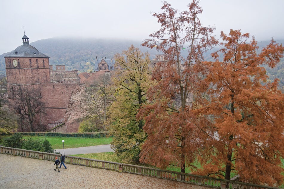 November zeigt graue Seite: Trübe Stimmung im Südwesten