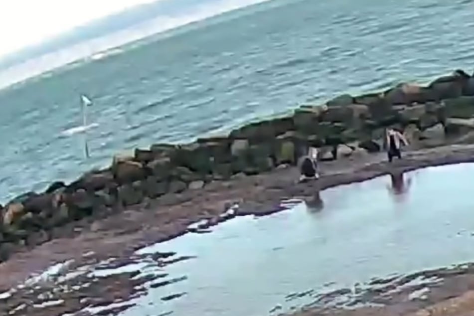 Mädchen versinkt im Treibsand: Mutter will helfen und gerät selbst in die Falle