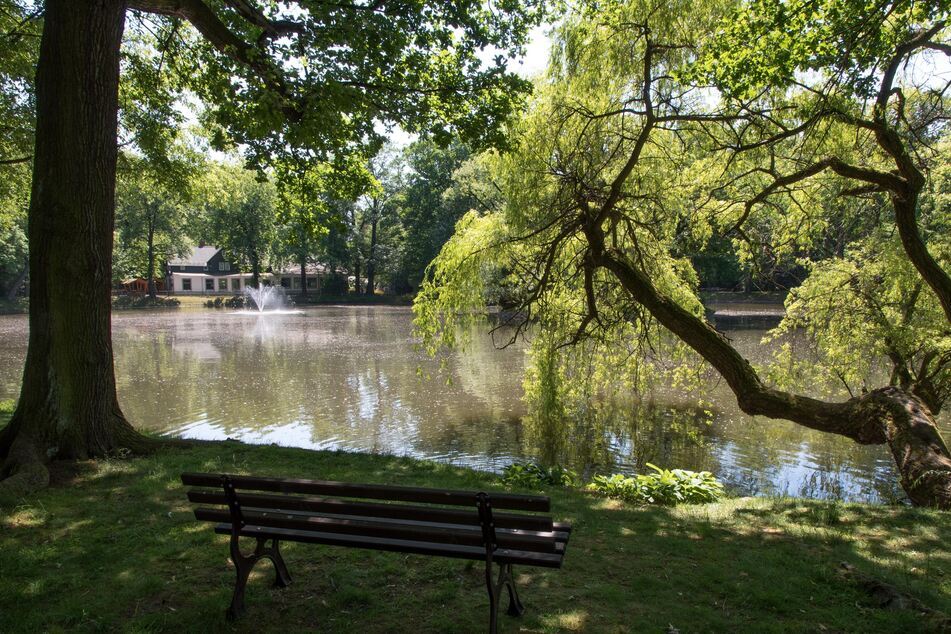Im Park am Schwanenteich in Mittweida ist ein Streit eskaliert.