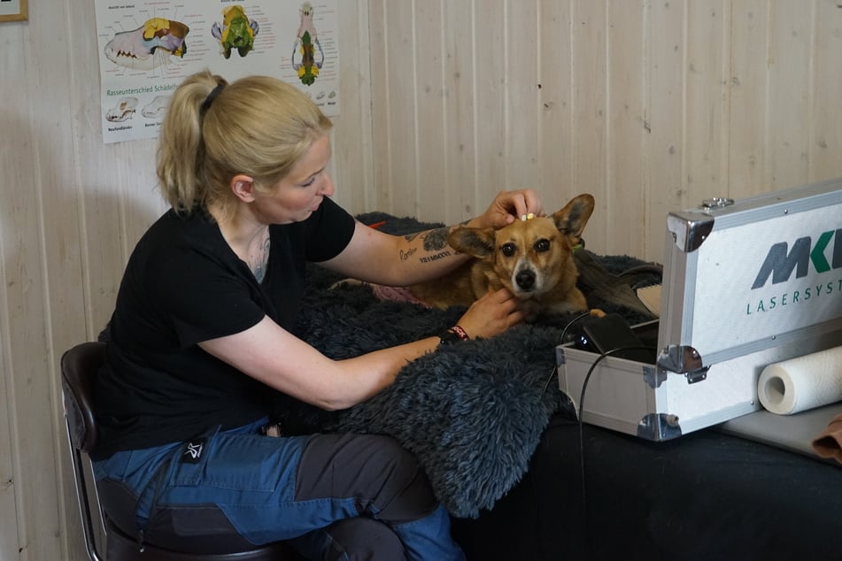 Im Physiotherapiehaus des Hofes werden interne aber auch externe Tiere von unter anderem Hofleiterin Saskia Wicke behandelt. Durch regelmäßige Physiotherapie werden die Durchblutung und der Stoffwechsel angeregt. Auf dem Hof gibt es auch zwei Unterwasserlaufbänder.