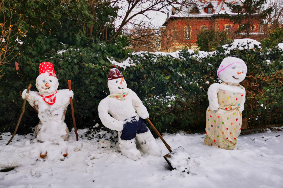 Vater, Mutter, Kind - eine ganze Schneemannfamilie steht im Garten einer Strehlener Stadtvilla.