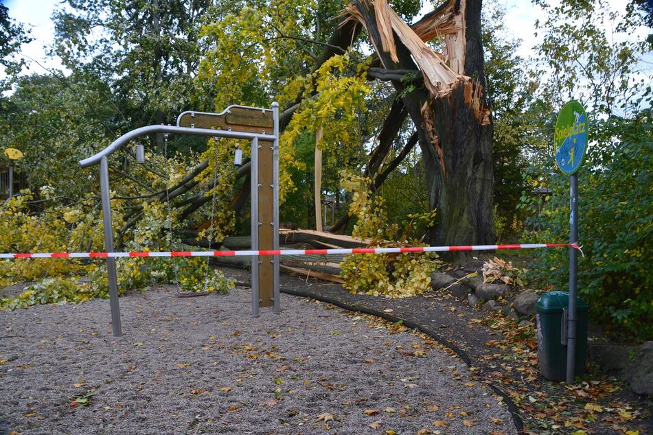 Leipzigs Stadtverwaltung warnt derzeit vor dem Betreten von Wäldern. Bei Sturmwarnungen könne dies lebensgefährlich sein.