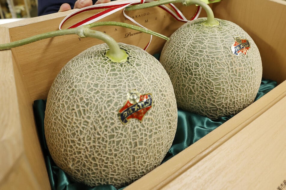 Zwei der berühmten japanischen Yubari-Melonen wurden dieses Jahr beim Saisonauftakt für etwa 22.000 Euro versteigert. (Symbolbild)