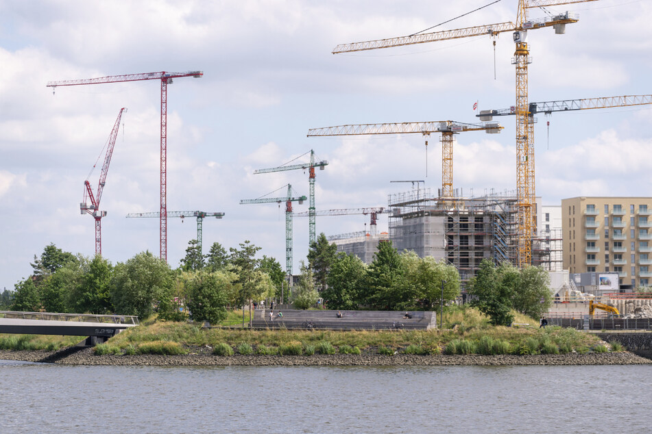 Grünflächen sollen in Hamburg erhalten bleiben, fordert eine Volksinitiative. (Symbolbild)