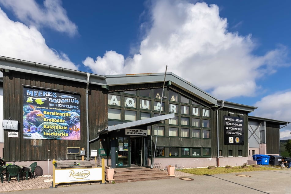 Nach monatelanger Corona-Pause hat das Meeresaquarium am Fichtelberg wieder geöffnet.