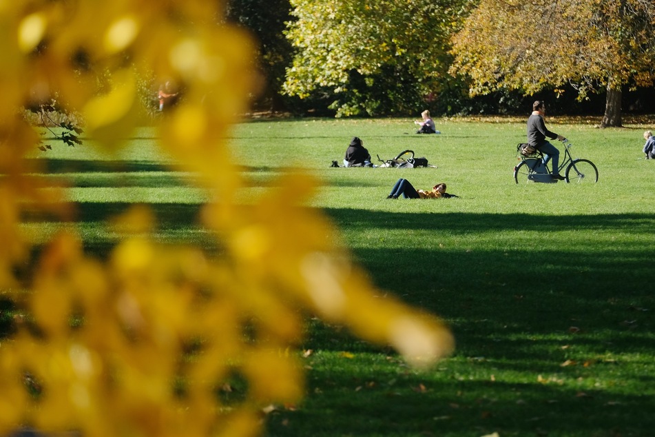 So war der Herbst 2021 in Sachsen: Warm, zu trocken und mit Rekordwind