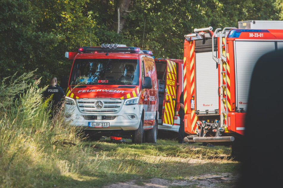 Es brennt im Stadtwald: Mehrere Feuerwehren im Einsatz
