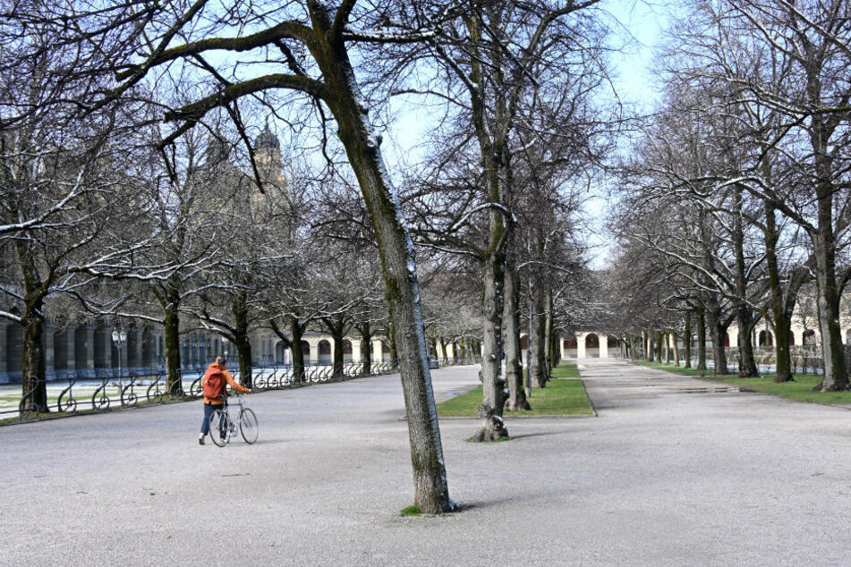 Bayern, München: Eine Frau schiebt ihr Fahrrad im Hofgarten, wo kaum Menschen unterwegs sind.
