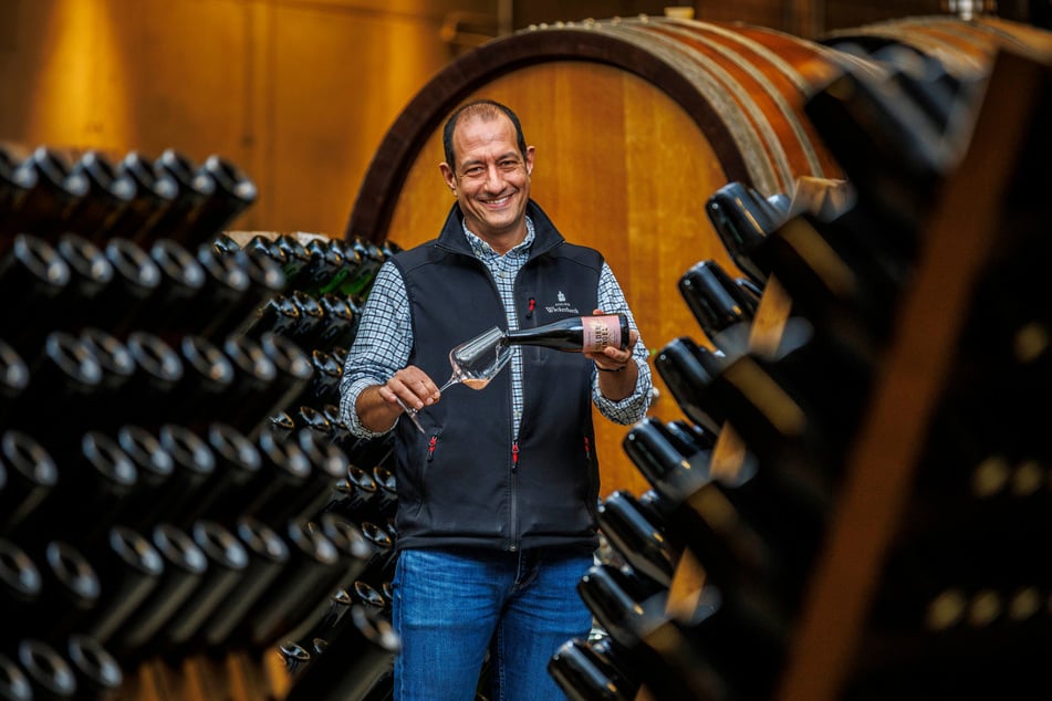 Man sieht es ihm an: Wackerbarth-Kellermeister Jürgen Aumüller (51) ist mit dem "Holden Engel" sehr zufrieden.