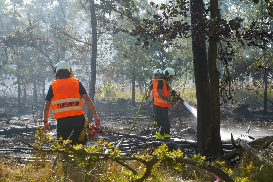 Rund 260 Kameraden sind im Einsatz, um diese zu bekämpfen. Die Zerstörung wird sichtbar.