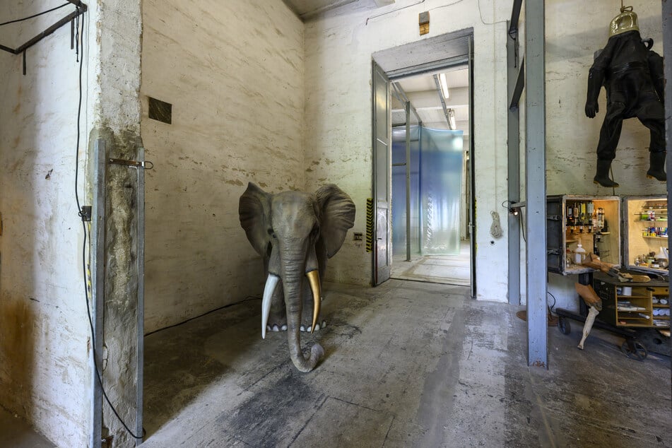 "Der Elefant im Raum" begrüßt die Gäste am Eingang.