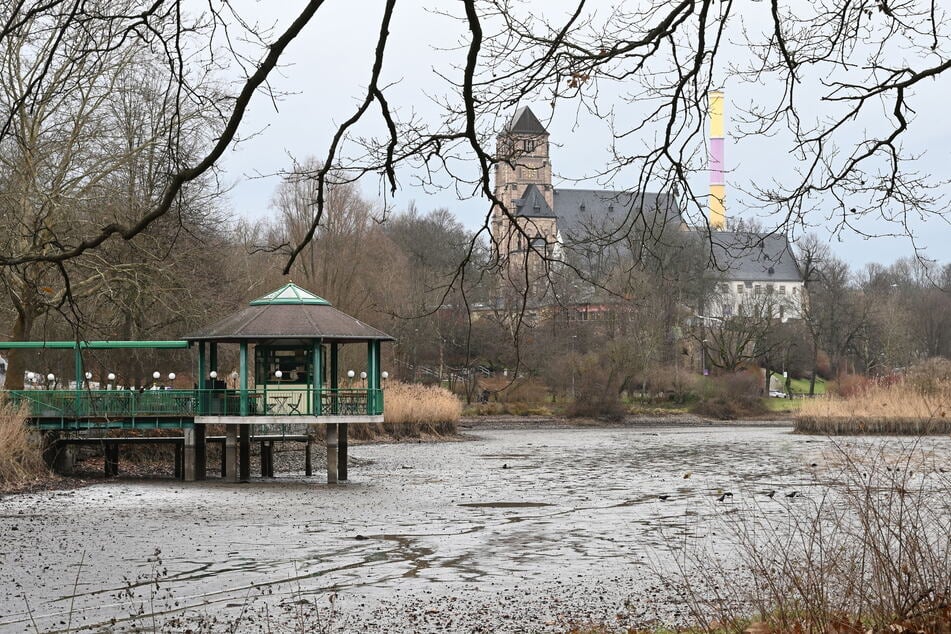 Aus dem Schlossteich wurde viel Müll und Unrat gesammelt. Der Schlamm bleibt. Er verschwindet demnächst wieder unter dem Wasserspiegel.