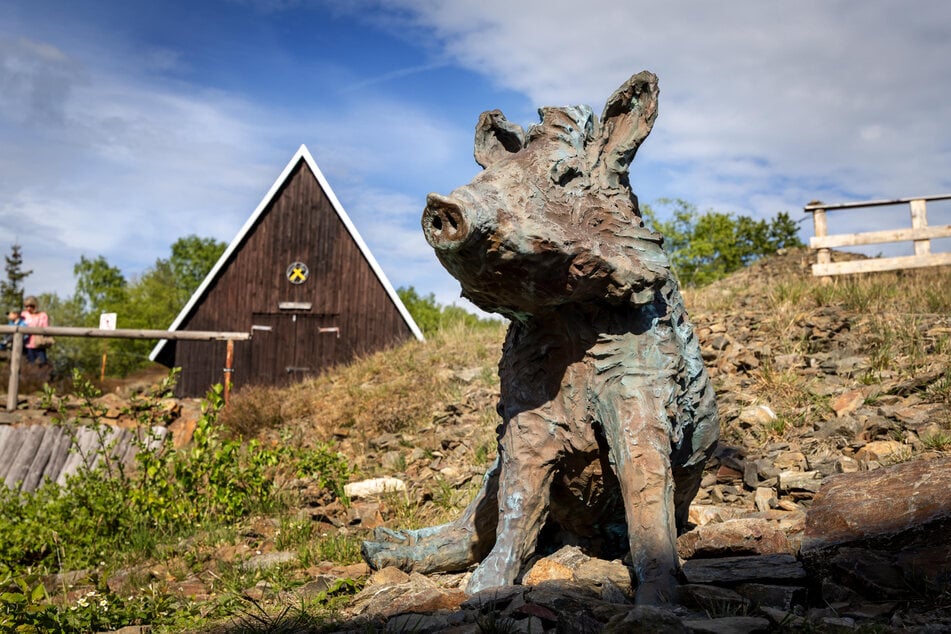 "Purple Path"-Kunstwerk "Wildschweine" von Carl Emanuel Wolff am Besucherbergwerk in Ehrenfriedersdorf.