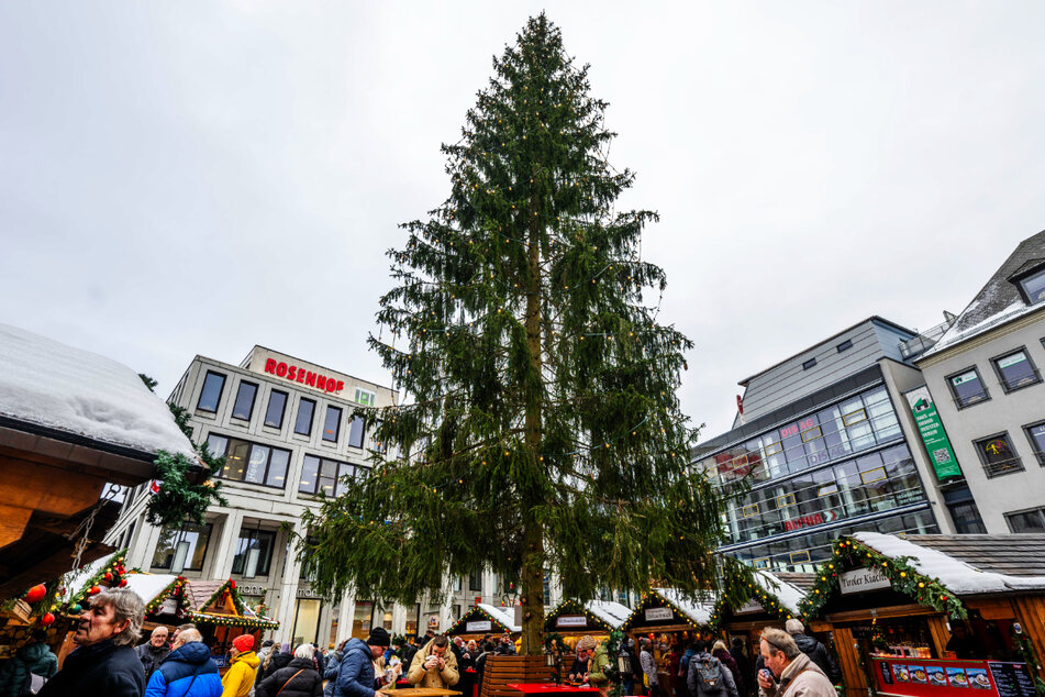 Chemnitz: Weihnachtsbaum-Ranking in Sachsen: Chemnitz hat erneut den Größten - aber nicht den schönsten