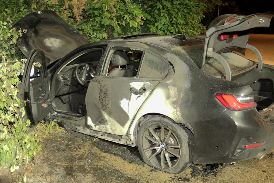 Das Auto stand in einer Hecke und hatte einen Zaun durchbrochen.