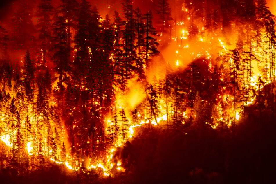 Researchers warn that climate change is fanning the flames of rampant and more extreme wildfires, which drive a jump in greenhouse gas emissions.