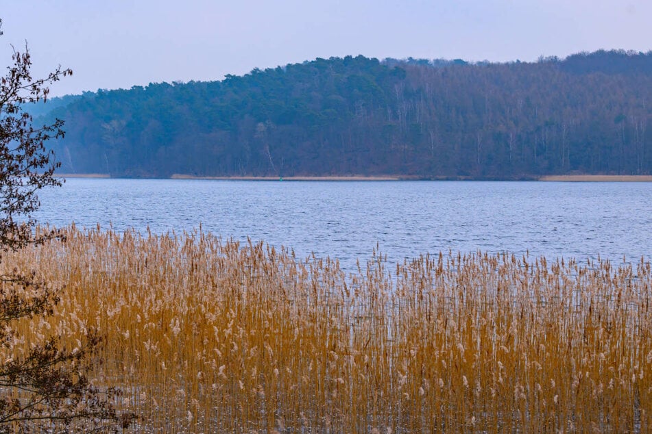 Ein 20-Jähriger wird nach einem Bad im Werbellinsee vermisst. (Archivfoto)