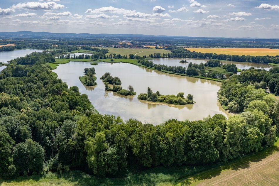 Zum UNESCO-Biosphärenreservat Oberlausitzer Heide- und Teichlandschaft gehören über 1000 Gewässer.