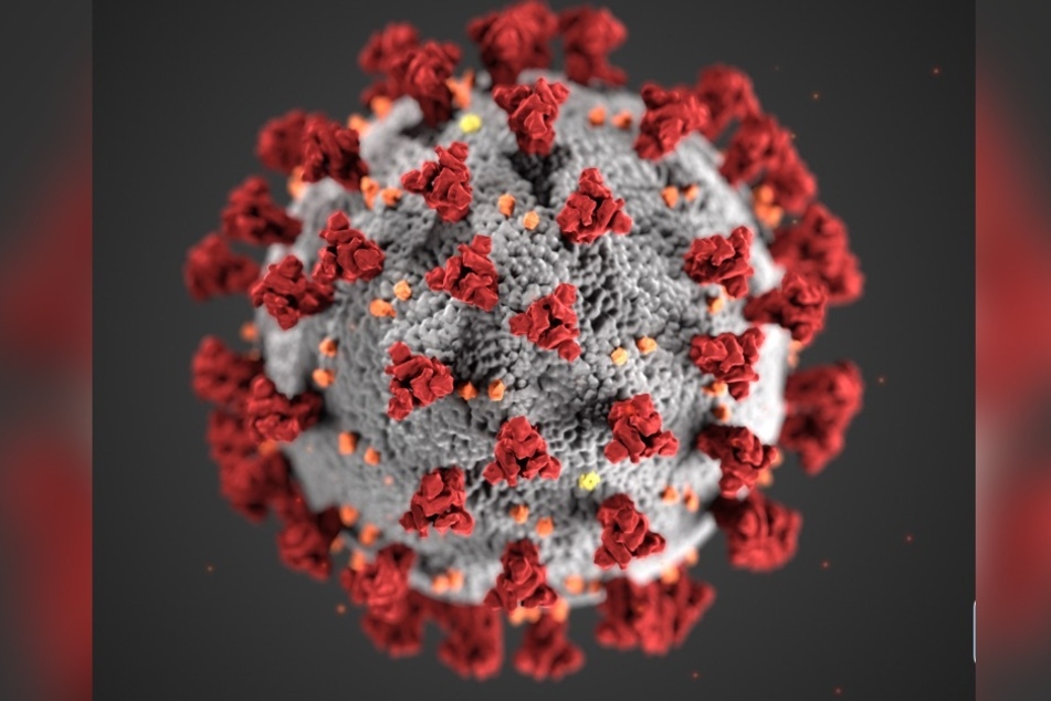 Der Coronavirus breitet sich weiter aus. (Symbolbild)